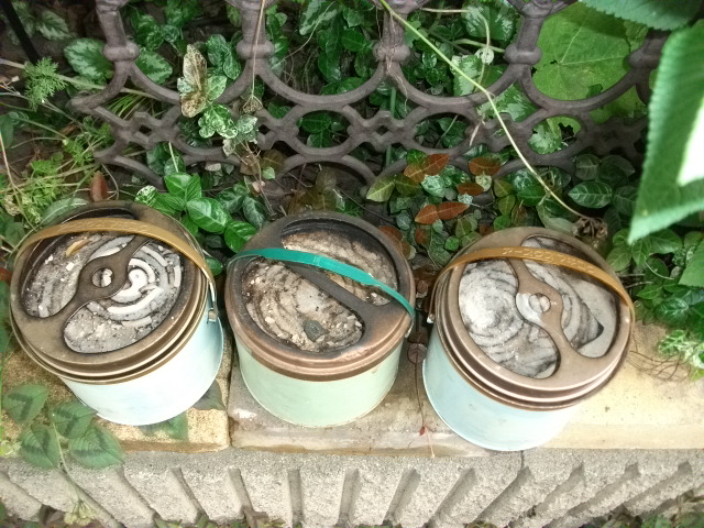 DSCF3417.jpg
