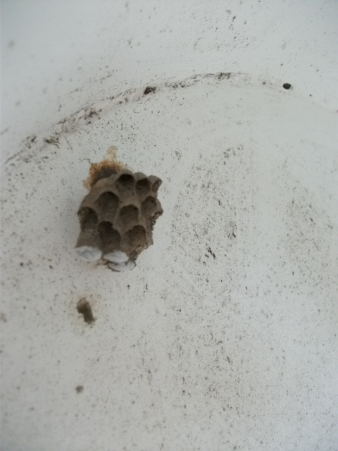 DSCF3494.jpg
