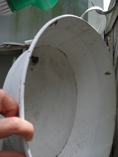 DSCF3495.jpg