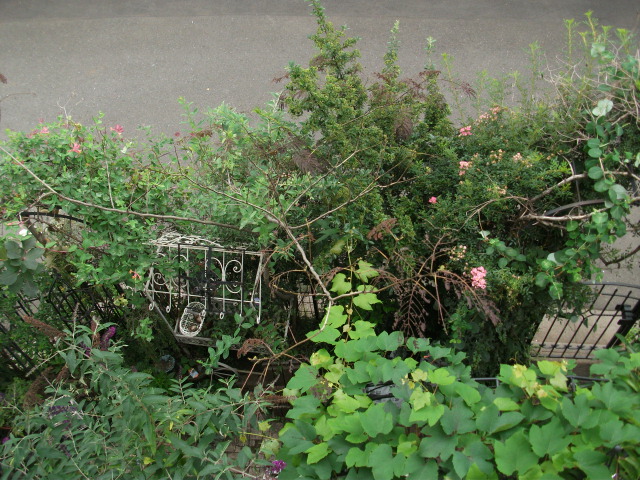DSCF3501.jpg