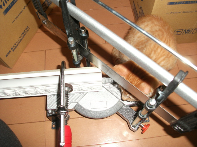 DSCF3506.jpg
