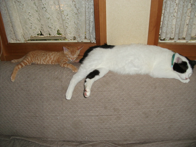 DSCF3540.jpg