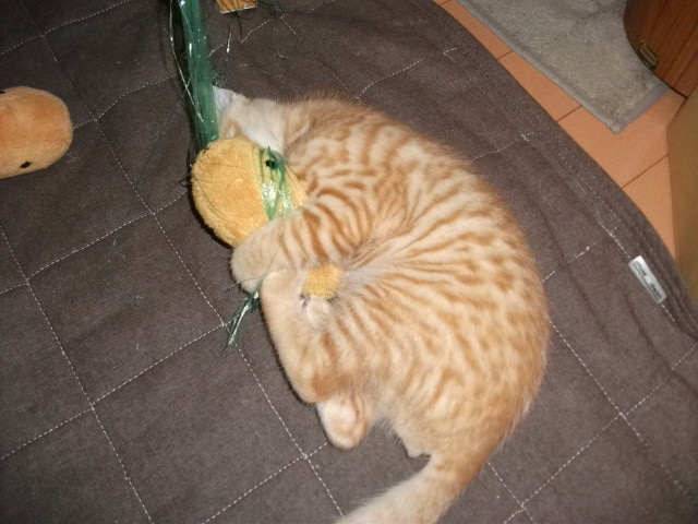 DSCF3545.jpg