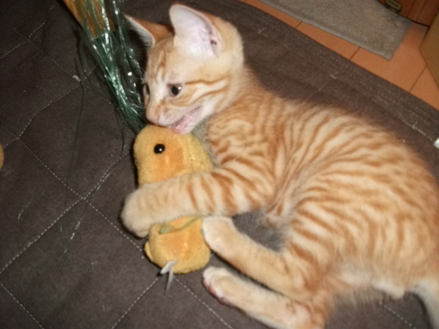 DSCF3546.jpg