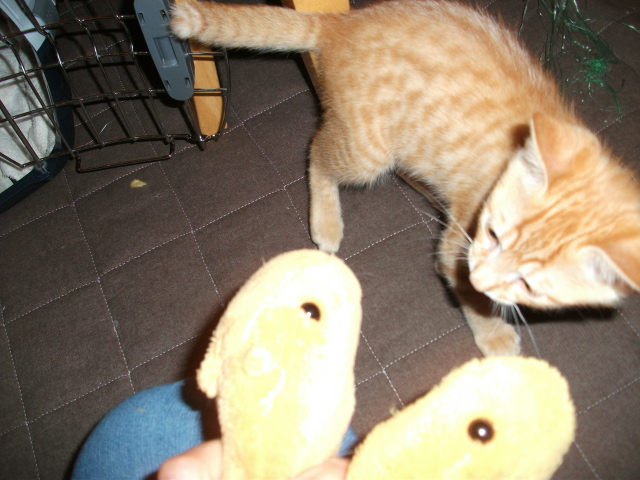 DSCF3549.jpg