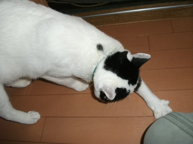 DSCF3575.jpg