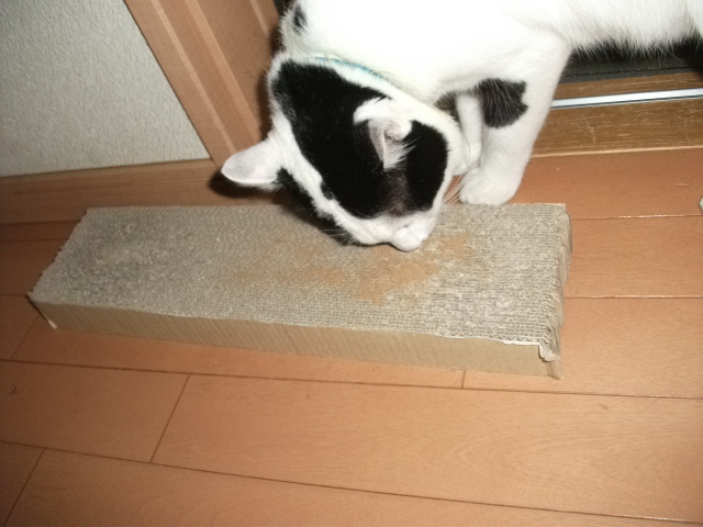 DSCF3578.jpg