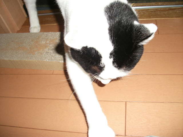 DSCF3579.jpg