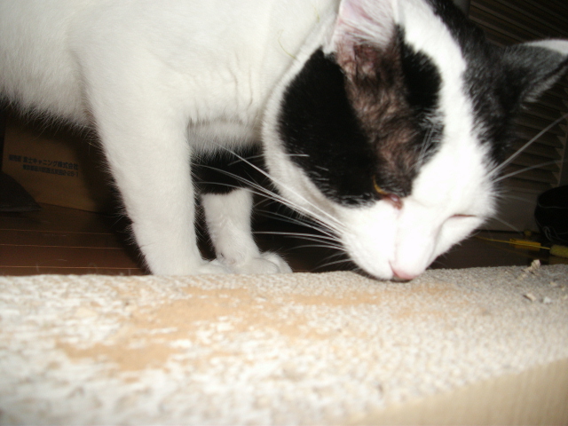 DSCF3588.jpg