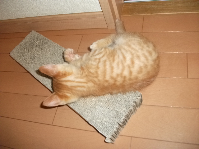 DSCF3607.jpg