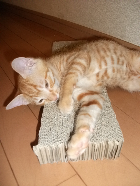 DSCF3608.jpg