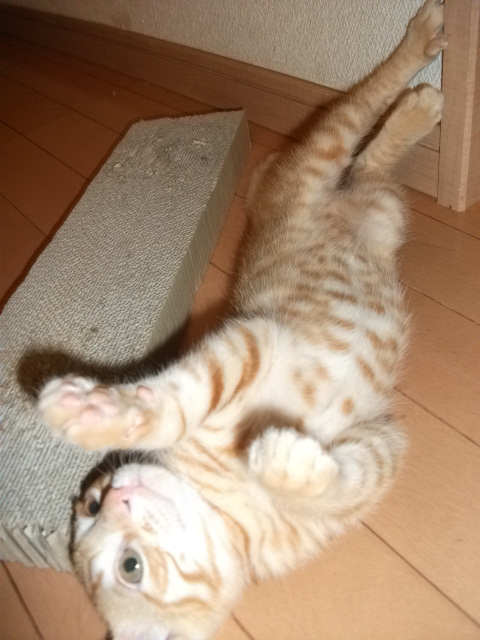 DSCF3609.jpg