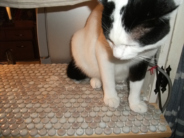 DSCF3653.jpg