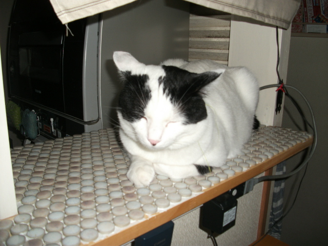 DSCF3656.jpg