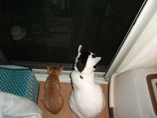 DSCF3667.jpg