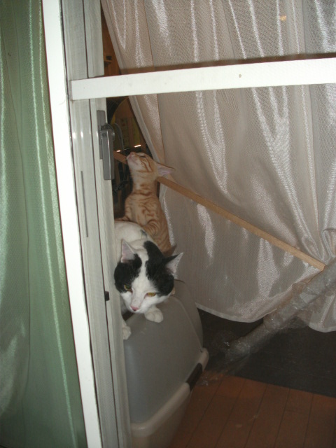 DSCF3676.jpg