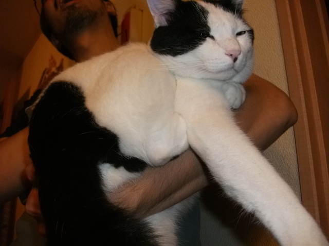 DSCF3707.jpg