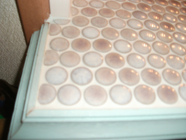 DSCF3729.jpg