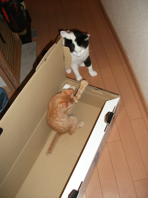 DSCF3767.jpg