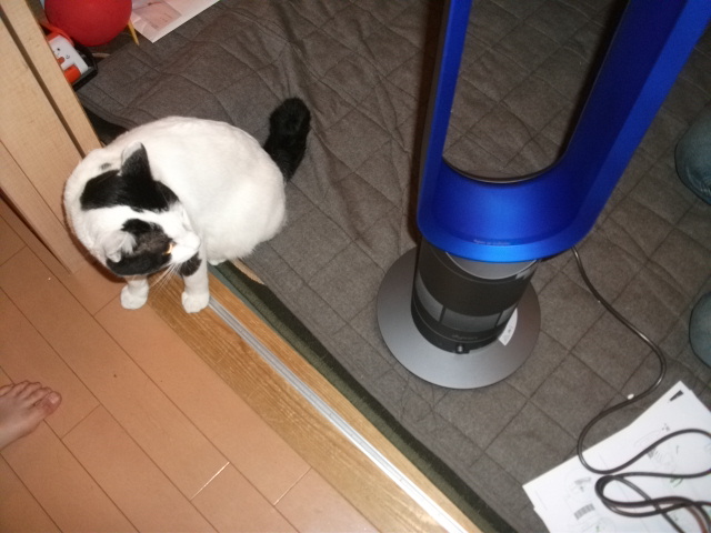 DSCF3770.jpg