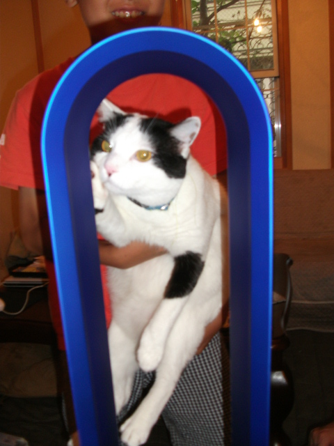 DSCF3772.jpg