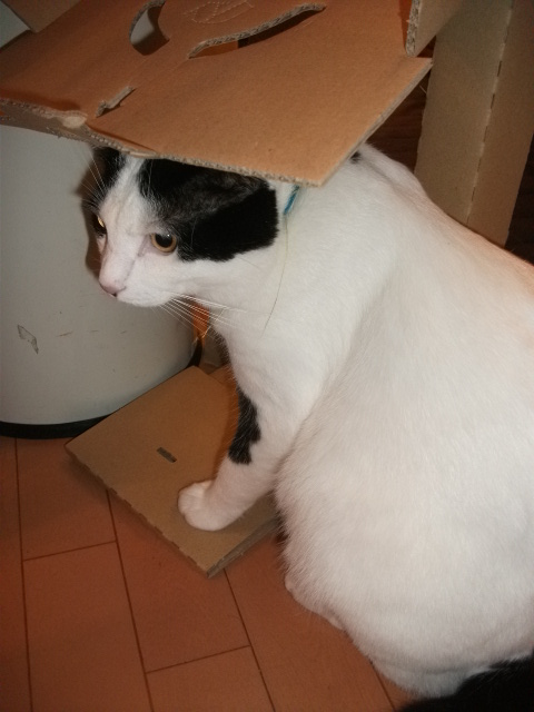 DSCF3774.jpg