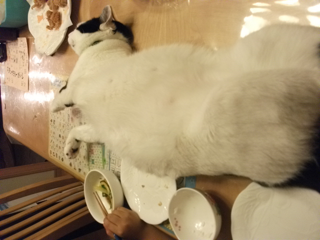 DSCF3777.jpg