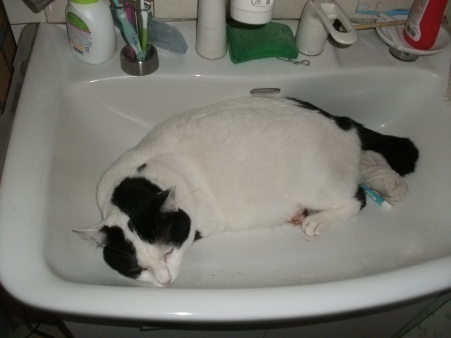 DSCF3780.jpg