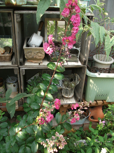 DSCF3790.jpg