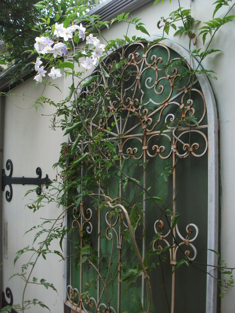 DSCF3795.jpg