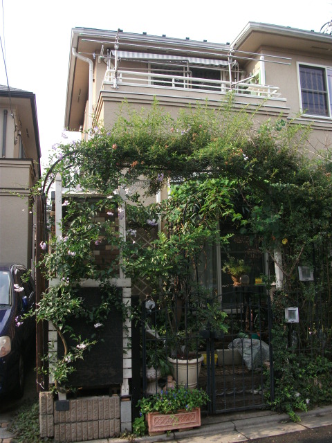 DSCF3800.jpg