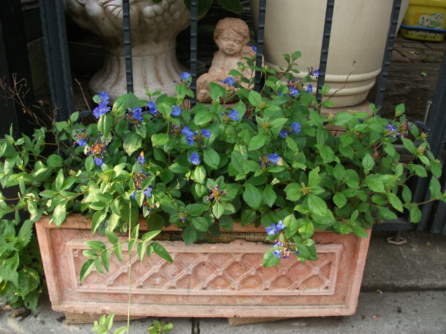 DSCF3801.jpg