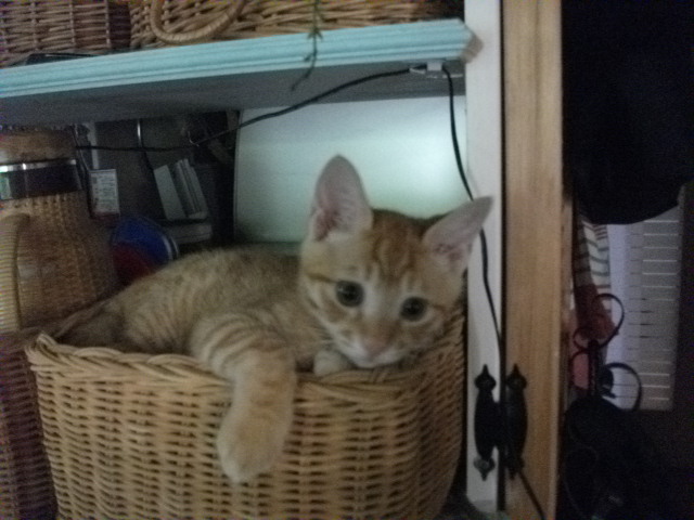 DSCF3868.jpg