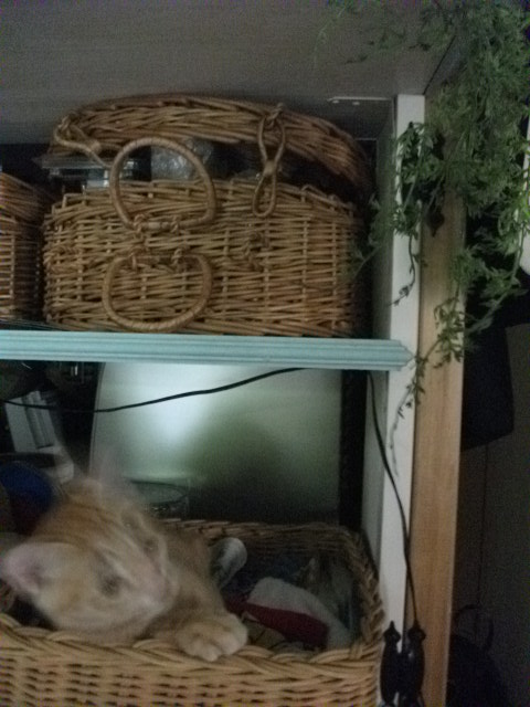 DSCF3871.jpg