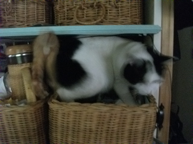 DSCF3873.jpg