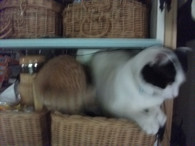 DSCF3879.jpg