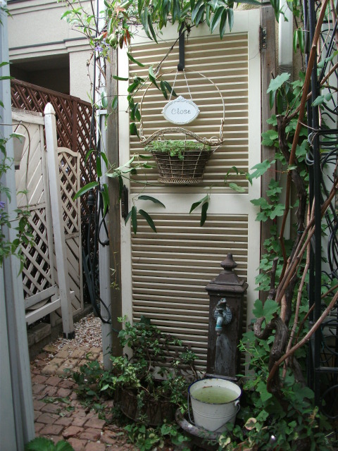 DSCF3921.jpg