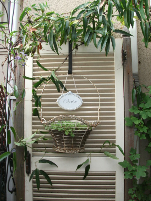 DSCF3926.jpg