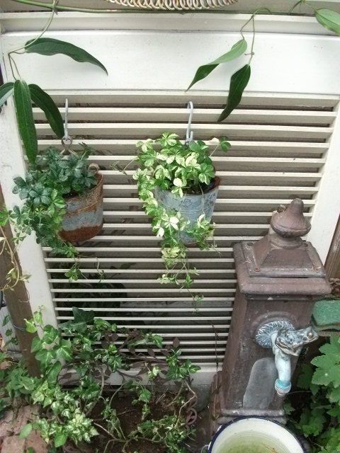 DSCF3929.jpg