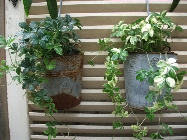 DSCF3930.jpg