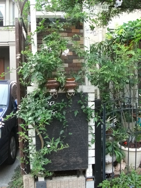 DSCF3934.jpg