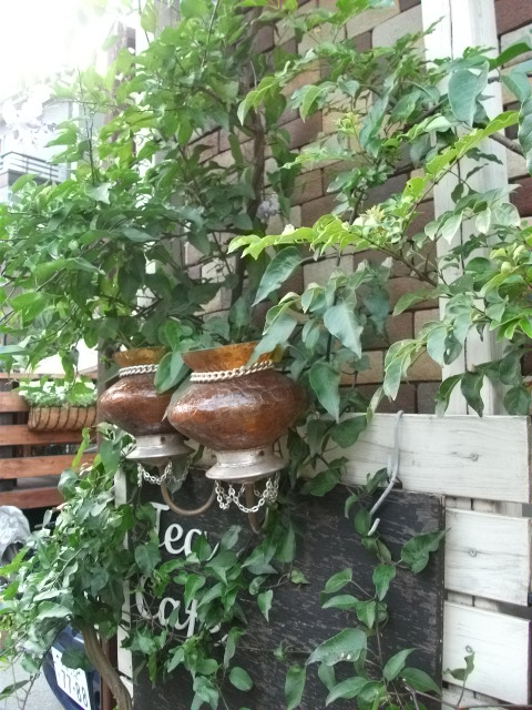 DSCF3936.jpg