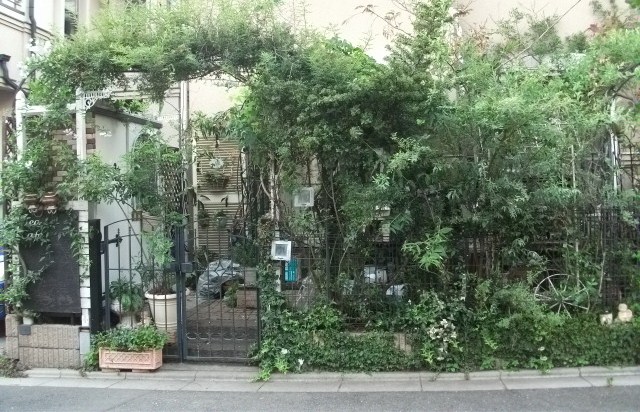 DSCF3938.jpg