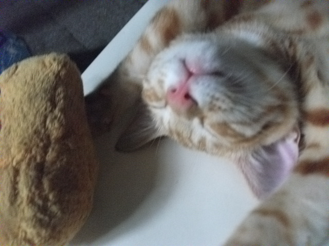 DSCF3947.jpg