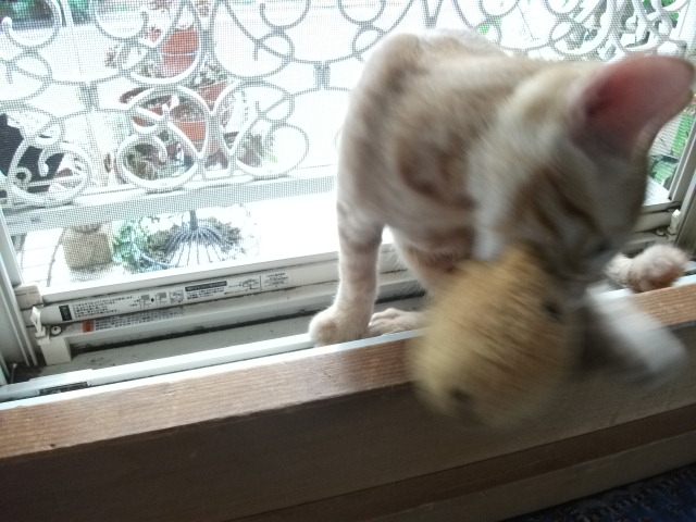 DSCF3949.jpg