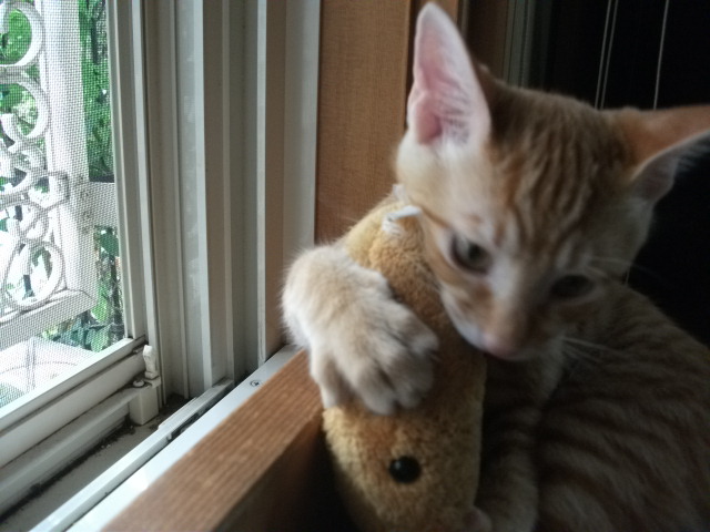 DSCF3952.jpg