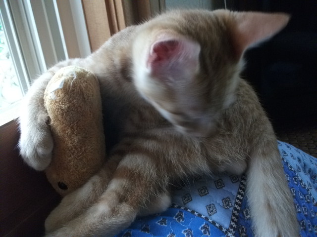 DSCF3953.jpg