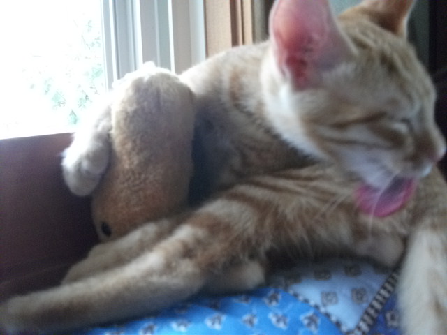 DSCF3954.jpg