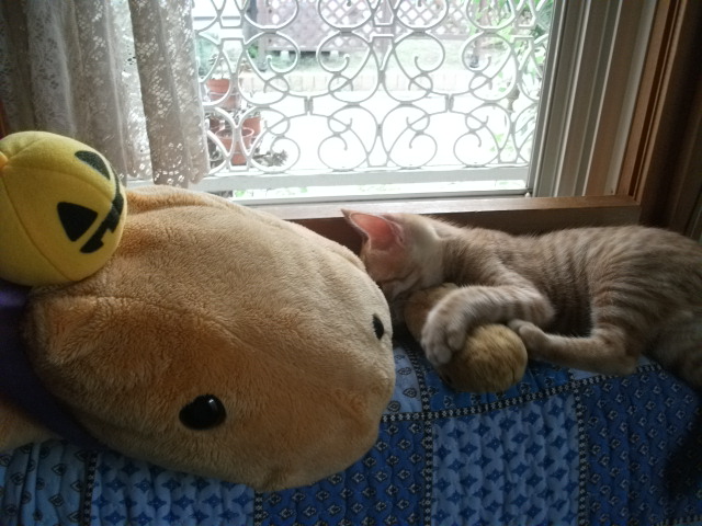 DSCF3959.jpg
