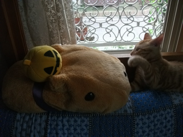 DSCF3961.jpg